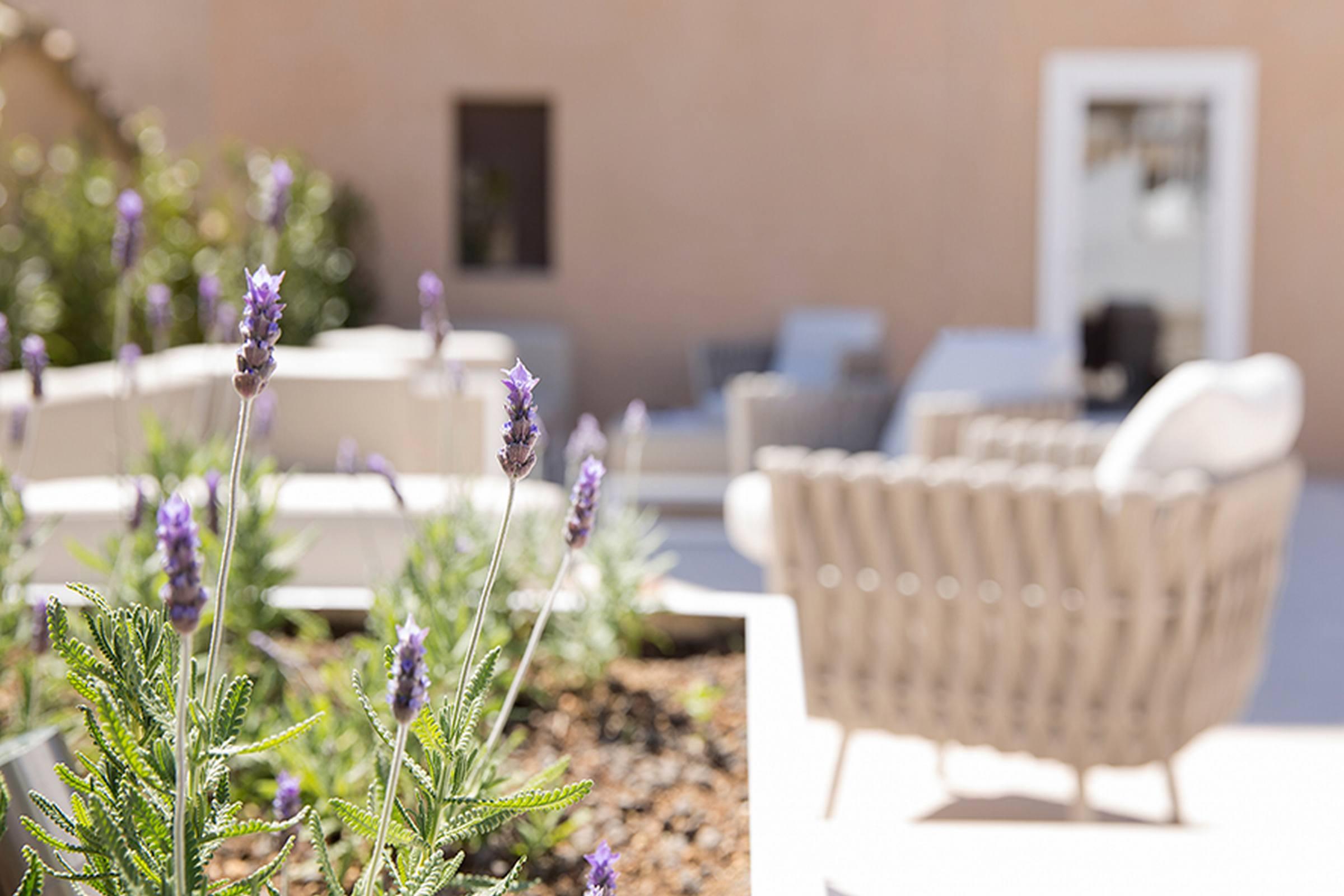 Hotell Convent De La Missio - Grand Luxury Boutique Hotel, Adults Only Palma de Mallorca